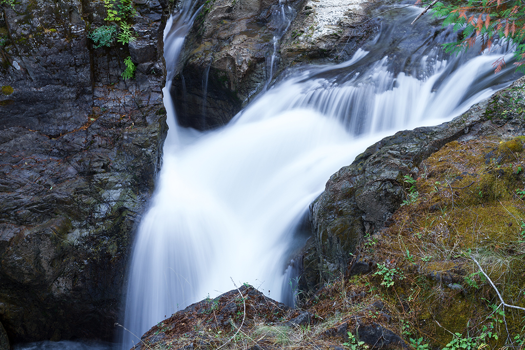 09-18 - 02.jpg - Little Qualicum Falls Park, Vancouver Island, BC